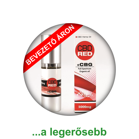 legerősebb CBD olaj